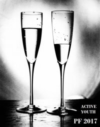 HAPPY NEW YEAR 2017 s ACTIVE YOUTH